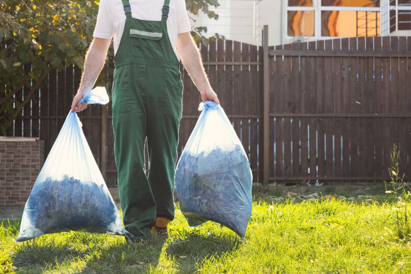 Junk Disposal in Auburn, CA